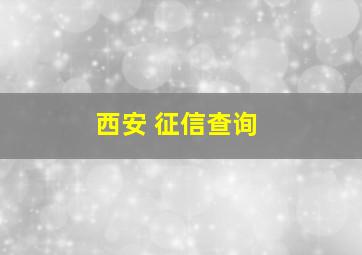 西安 征信查询